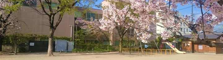 小坂公園